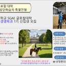 엘리트 교육사