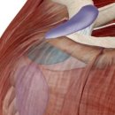 천세봉한의원 이미지