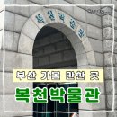 복천박물관 | 부산 가볼만한 곳 추천! 조용하고 의미 있는 부산 동래 복천박물관 관람 후기