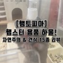 니오라 자연주의 건강쉼터 | 햄찌를 위한 플렉스! 햄스터 용품 리스트 내돈내산 하울