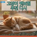 디시80
