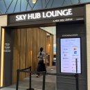 씨유 부산강서게이트점 | 부산 김해공항 국제선 스카이허브라운지 이용권 가격 카드 음식 후기