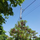 원주굽이길 12코스 뱃재넘이길 이미지