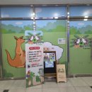 동물은내친구 | 수원 아이랑 수달앤쥬 2살,4살 이색 동물 먹이주기 체험 후기