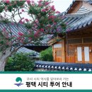 안성시티투어 네이버블로그
