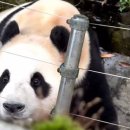 한국동물번식센타 이미지