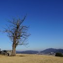 비봉산(367m),태봉산(245m),남산(333.1m),바카프미산(332.9m)/ 경기 안성 죽산면 이미지