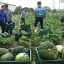 금정면사무소 이미지