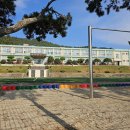 넙도초등학교노화중학교넙도분교장 이미지