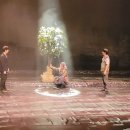 4.3 창작뮤지컬 동백꽃 피는 날 이미지