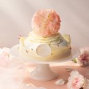 디베르 디자인 이미지