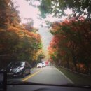 달빛이 머문 펜션 이미지