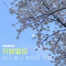 금호강 | 대구 북구 복현동 카페 멜트 벚꽃뷰 대형카페 후기 (금호강뷰·주차 가능)