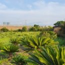 소망 카 센타 이미지