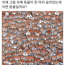 Q28.숨은동물찾기/수리퀴즈(본문정답공개) 이미지