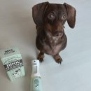 강쥐 | 강아지 소변 요산제거제 "똑똑강쥐 소변제거제 탈취제" 사용후기