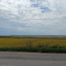 영산미술관 이미지