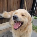 (주)현동 이미지