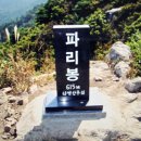 대구벽송산악회 제 529차 정기산행 부산 금정산(상계봉~파리봉) 이미지