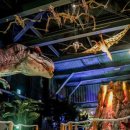 광명동굴 공룡체험전 이미지