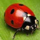 온유한 요양원 이미지