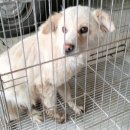 지평119지역대 이미지