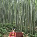 월산주막 | [국내] 담양 2박 3일 여행 첫째날_죽녹원, 관방제림, 한국대나무박물관, 국수거리 원조대나무국수, 죽순...