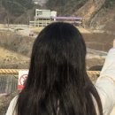 프롬민소 이미지