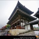 [20-19] 해외도보 21탄 - 일본 간사이 문화답사 걷기여행(상) [인화사(닌나지) - 일본 정원의 종합백화점] 이미지