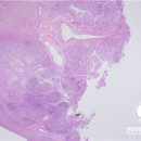 제일동물진단영상센터 이미지