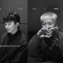 우지 이미지