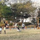 과천시 중앙공원 이미지