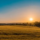 정서농장 이미지