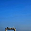 군도7 | 나홀로 군산여행 - 해무 Bar, 게하에서 1박, 이성당, 고군산군도 탐방