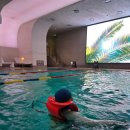 시티옥사우나 | 몬드리안 서울 이태원 호텔 시그니처 킹룸 조식 수영장 후기