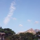 녹번-031 이미지