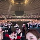 다연 이미지