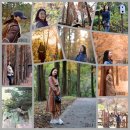 수목원에나로참숯갈비 이미지