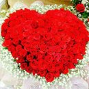 천은농장 이미지