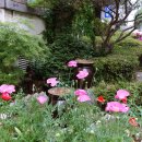 한미리빌딩 이미지