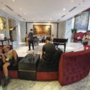 아나톨레 이미지