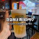 테라의태양 | 날리는 살얼음 맥주! 대형 스크린이 매력적인 가성비 술집 '씨네마맥주 서울 잠실태양점' 피치맥 솔직후기