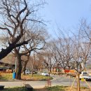 용성미산숲 이미지