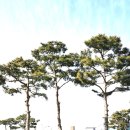 김제경찰서 신풍지구대 | 김제역~월촌 입석~김제역