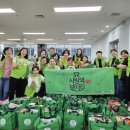 휴먼월드 이미지