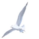 두 남매-방운아 이미지