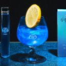 AstroWhale 이미지