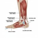 필라테스B반 | [상동] 필라테스쏘울 | 전문 척추관리 ･ 근막관리 ･ 상동역필라테스