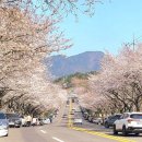 선진공원 주차장 이미지