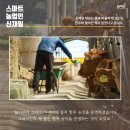 신재일농장 네이버블로그